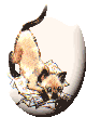 Image Name